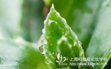 美白——如何達到“一白遮三丑”境界，讓皮膚看起來白皙，閃亮